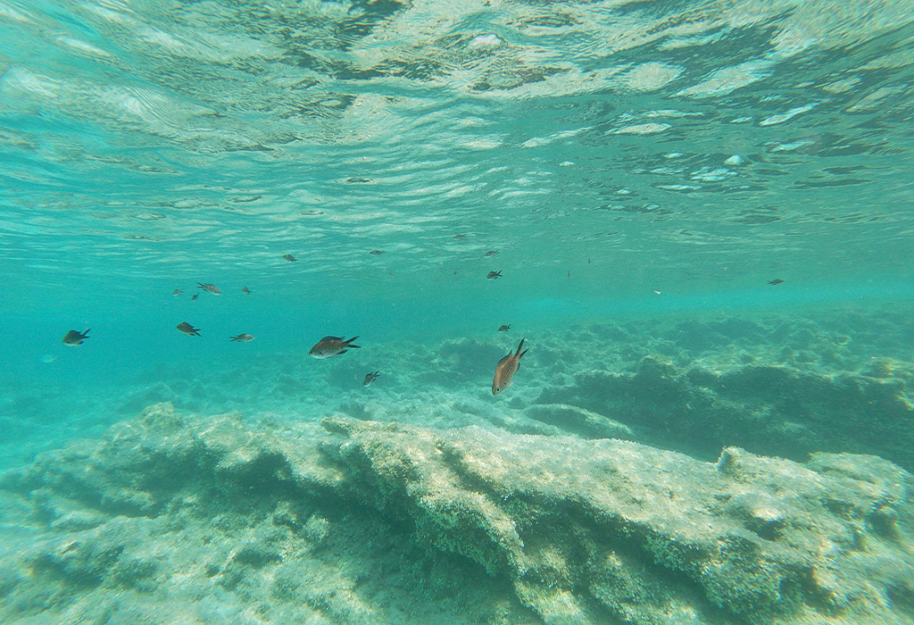 formentera-1